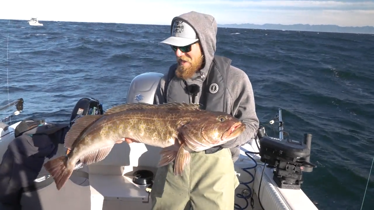 Rugged Waves of Lingcod and Halibut episode thumbnail