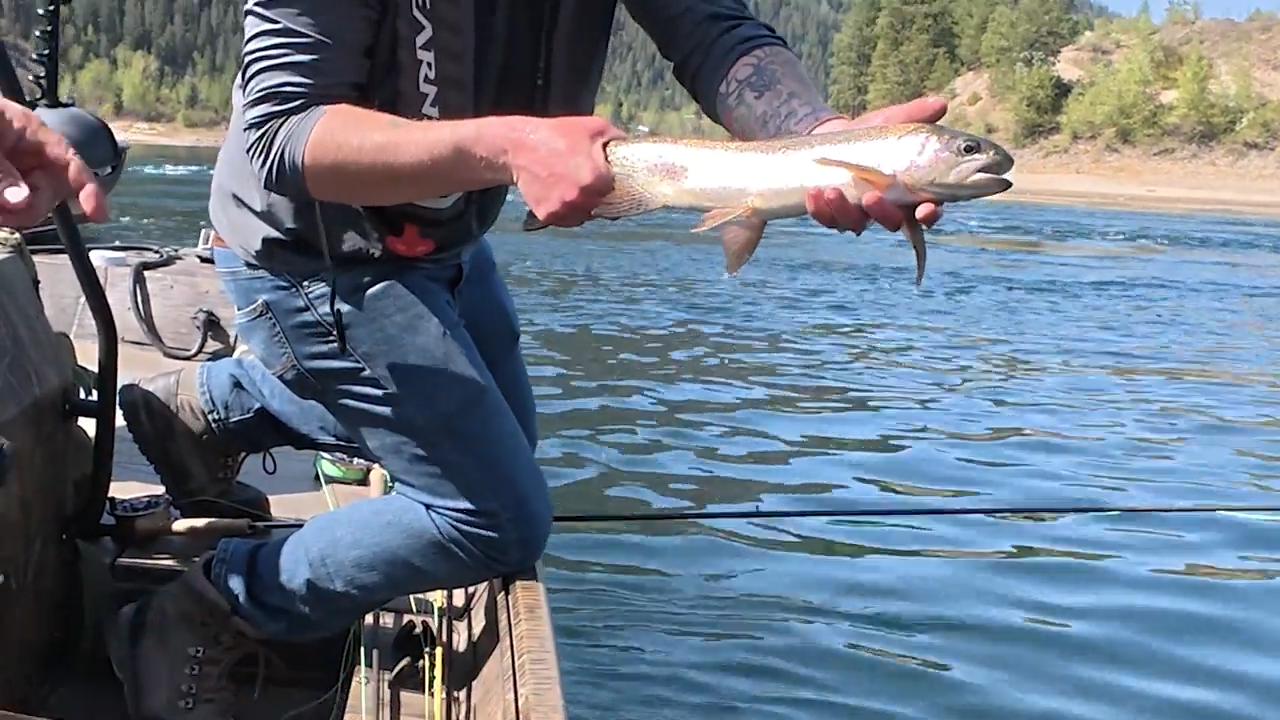 Big Bows Big Water episode thumbnail