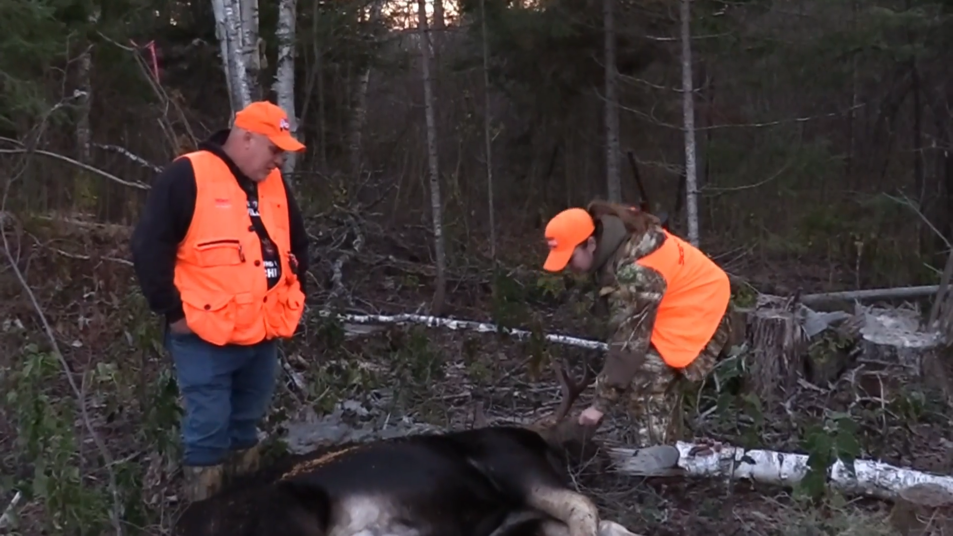 Moose Camp at Poplar Point episode thumbnail