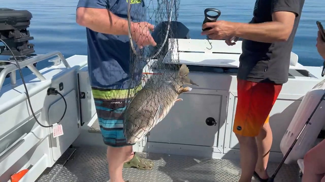 Lake Superior Lakers episode thumbnail