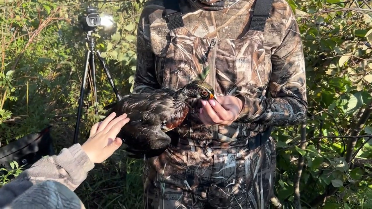 Duck Hunting Memories episode thumbnail