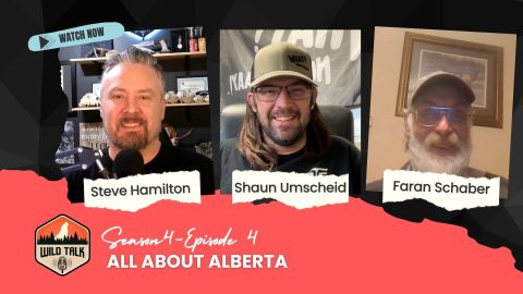 All About Alberta episode thumbnail