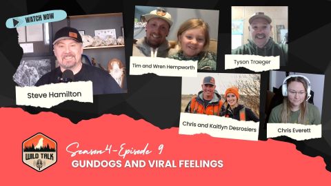 Gundogs and Viral Feelings episode thumbnail