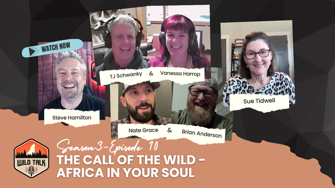 The Call of the Wild - Africa in Your Soul episode thumbnail