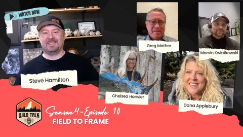 Field to Frame episode thumbnail