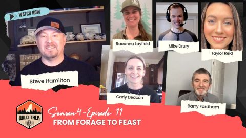 From Forage to Feast episode thumbnail