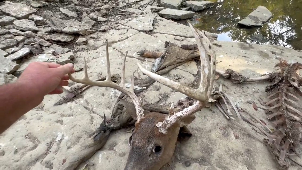 Bowhunting in Bourbon Country - Part 3 episode thumbnail