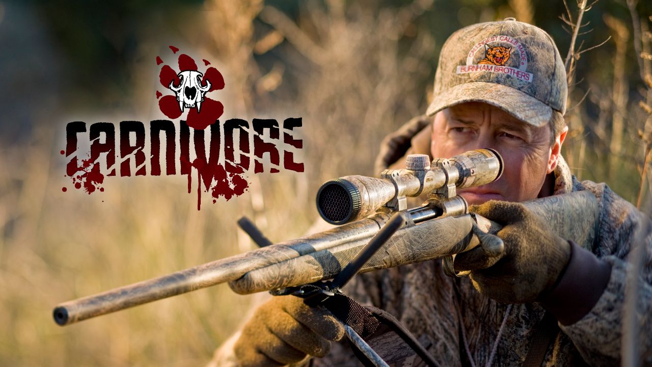 Carnivore TV