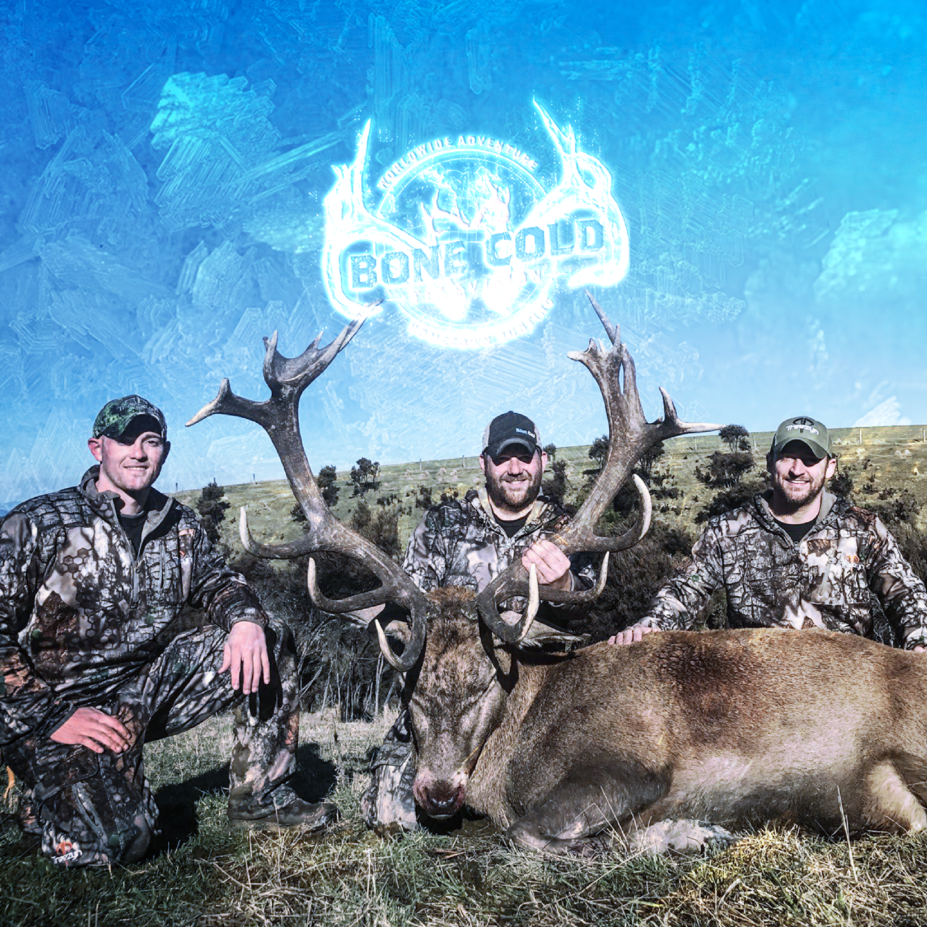 Bone Cold TV program thumbnail