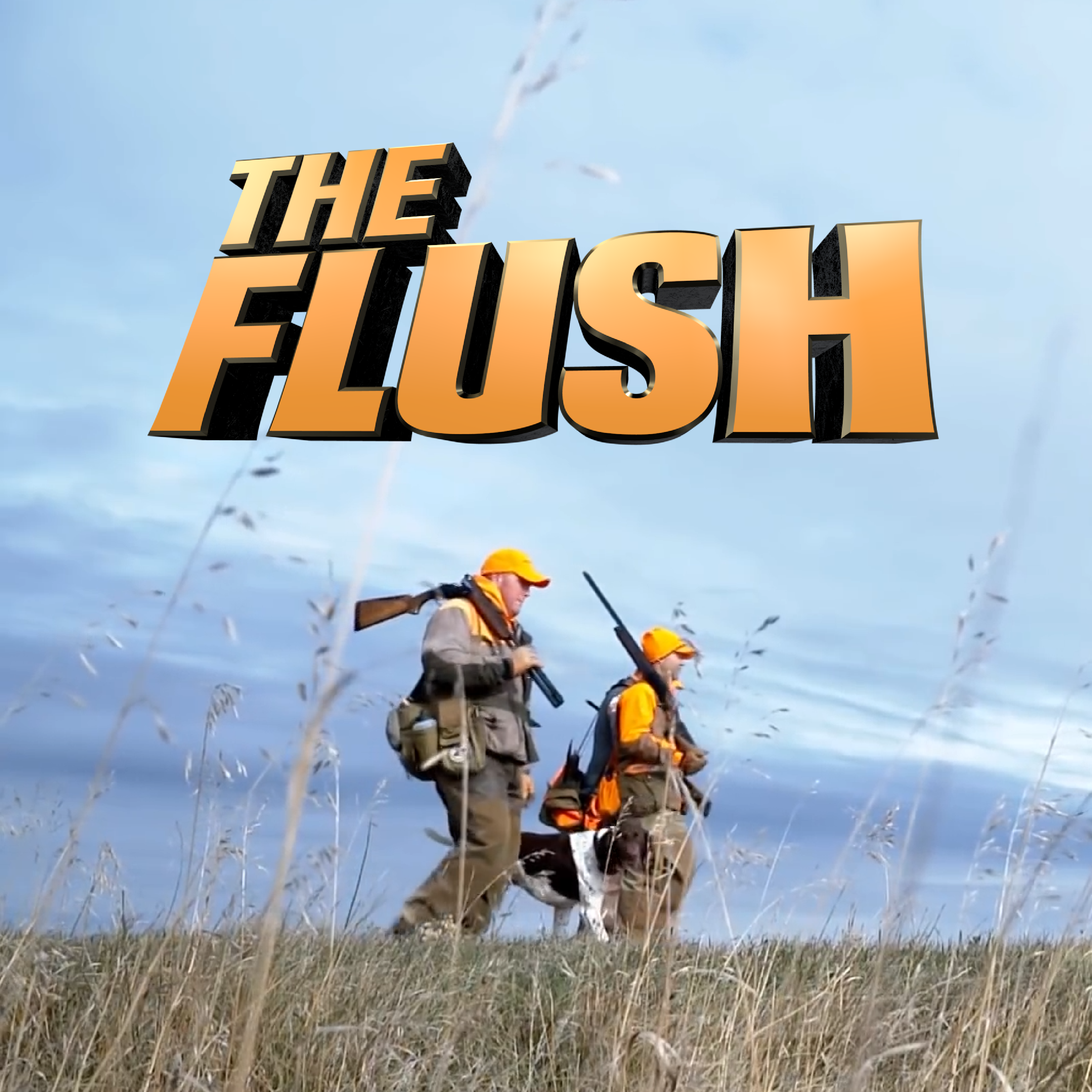The Flush program thumbnail