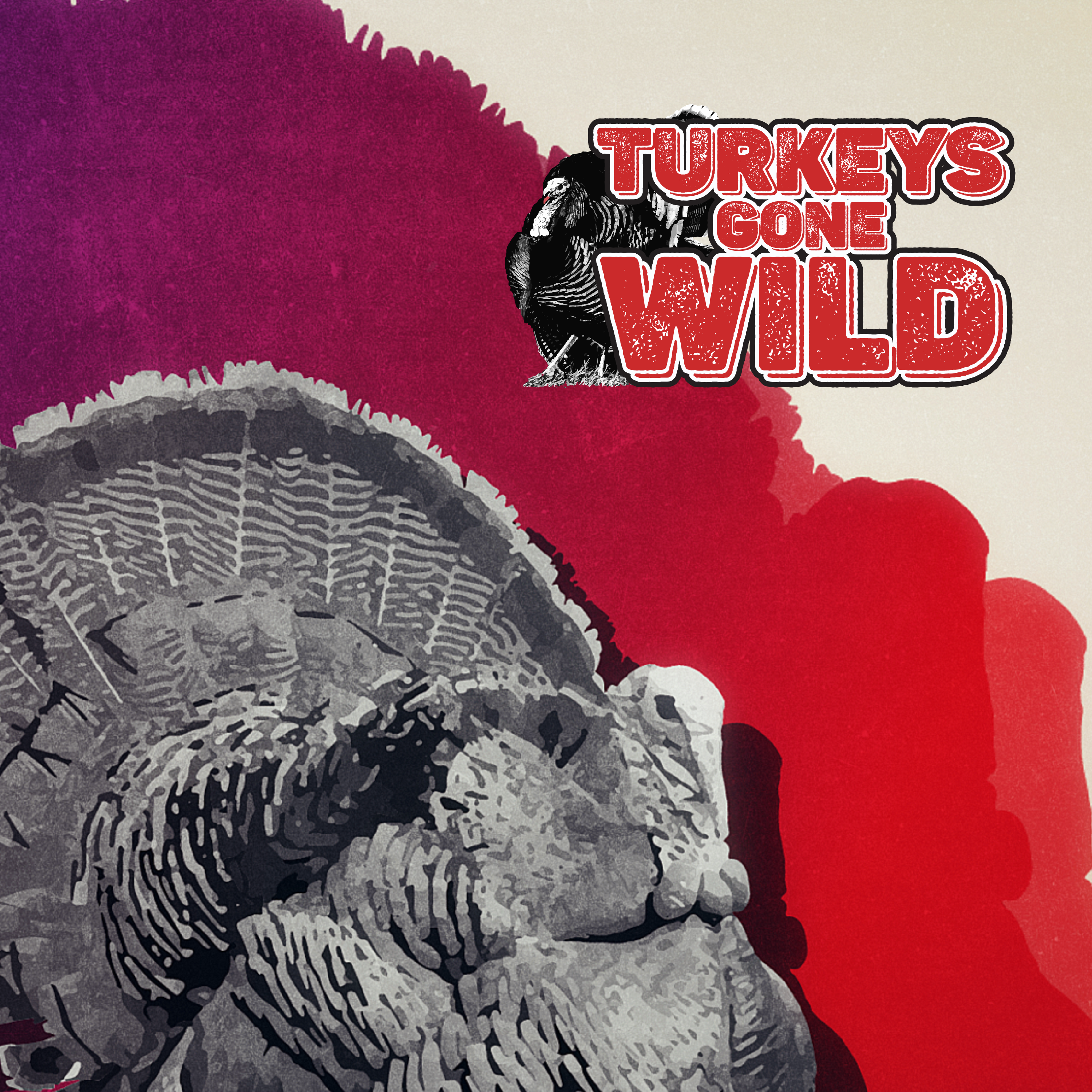 Turkeys Gone Wild program thumbnail