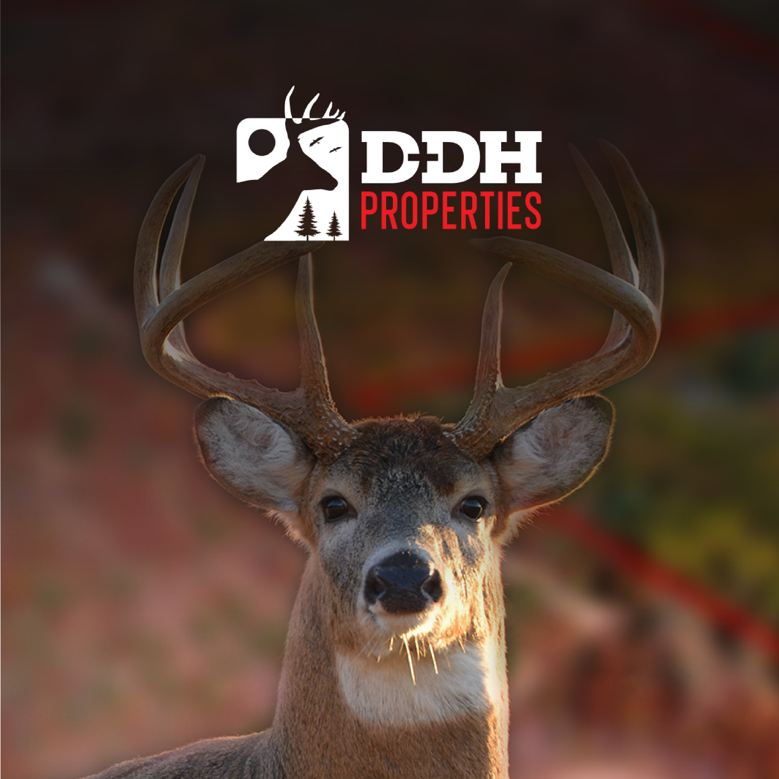 DDH Properties program thumbnail