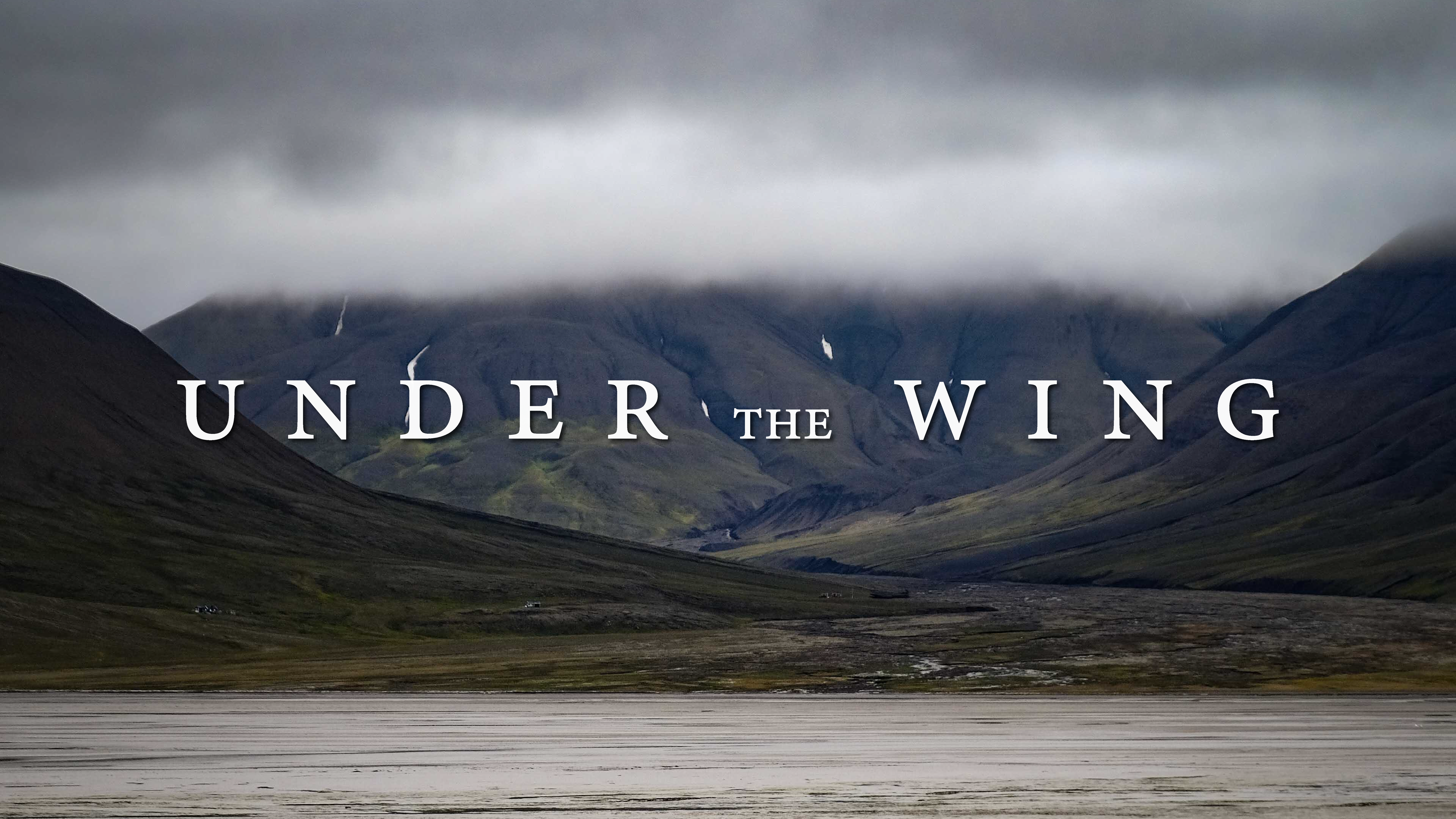 Under the Wing