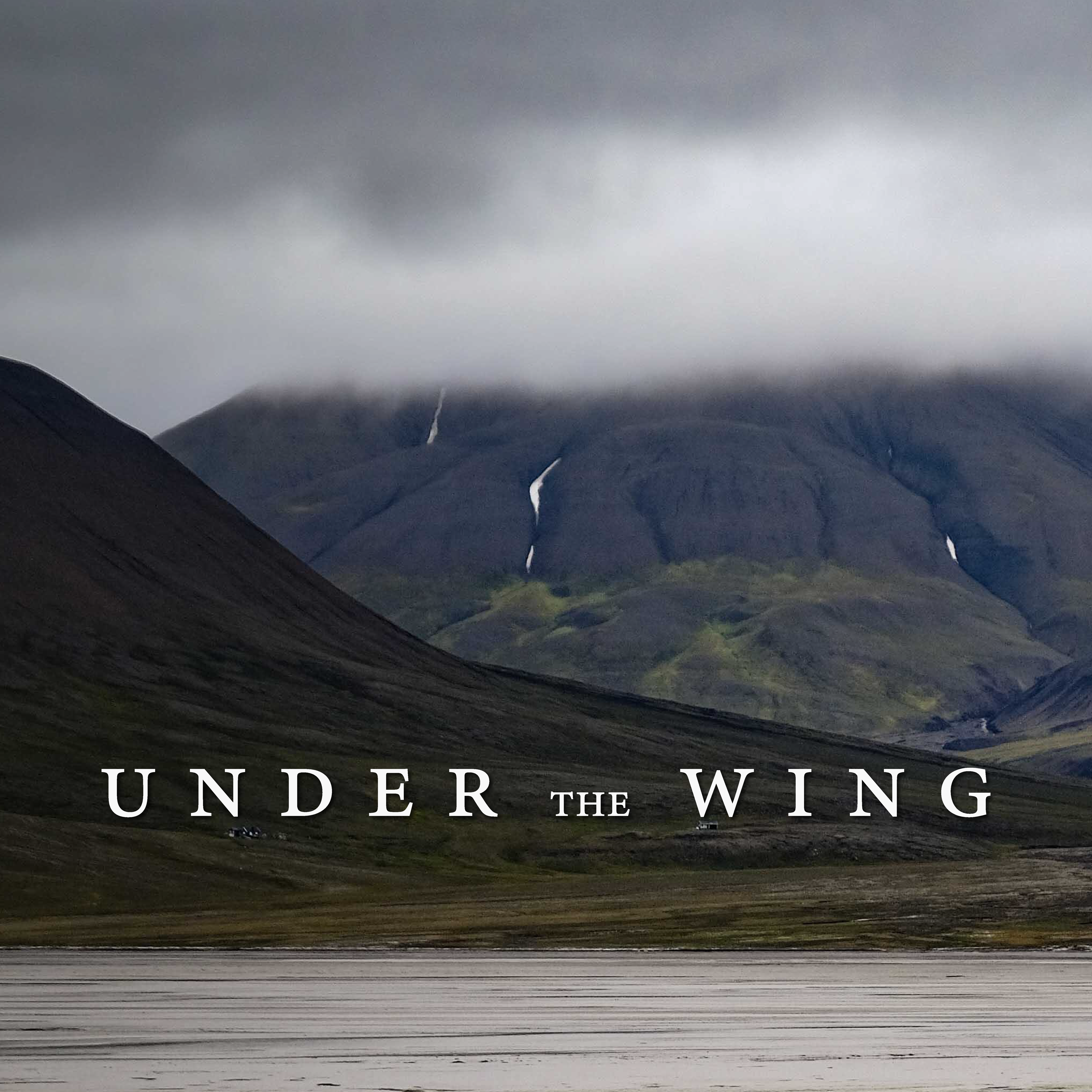 Under the Wing program thumbnail