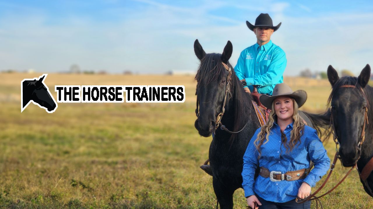 The Horse Trainers