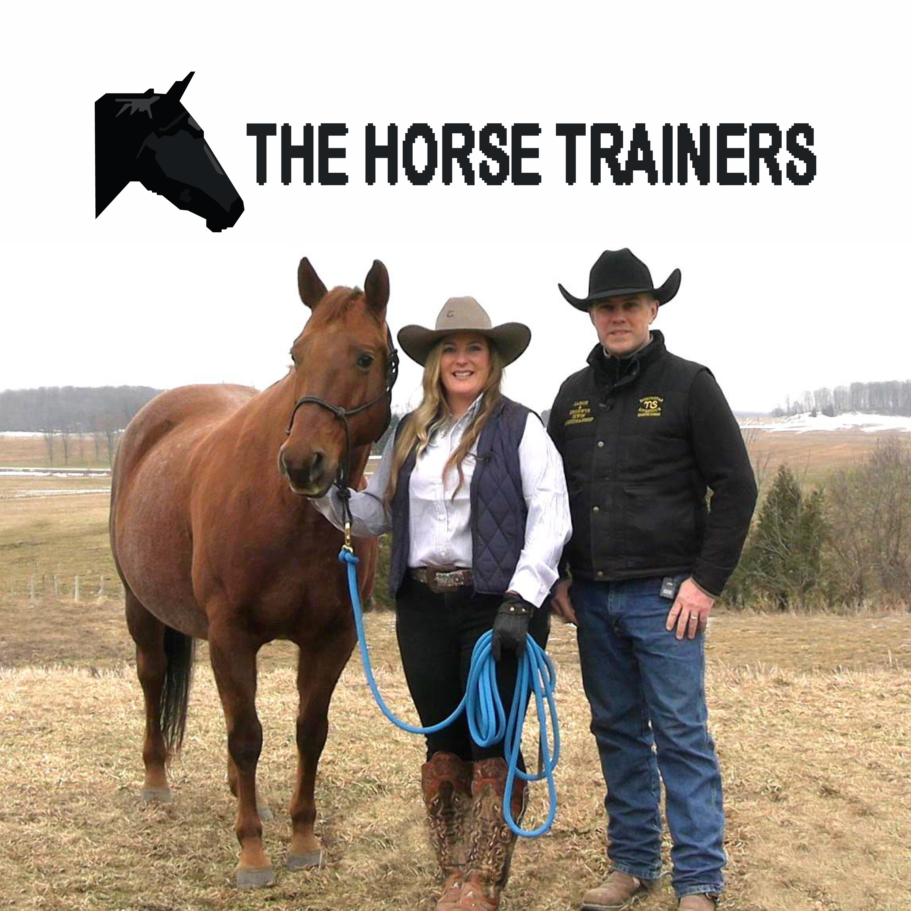 The Horse Trainers program thumbnail