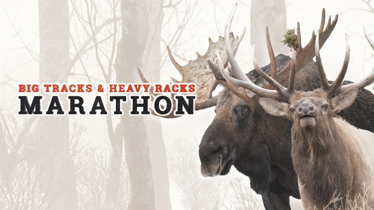 Big Tracks & Heavy Racks Marathon