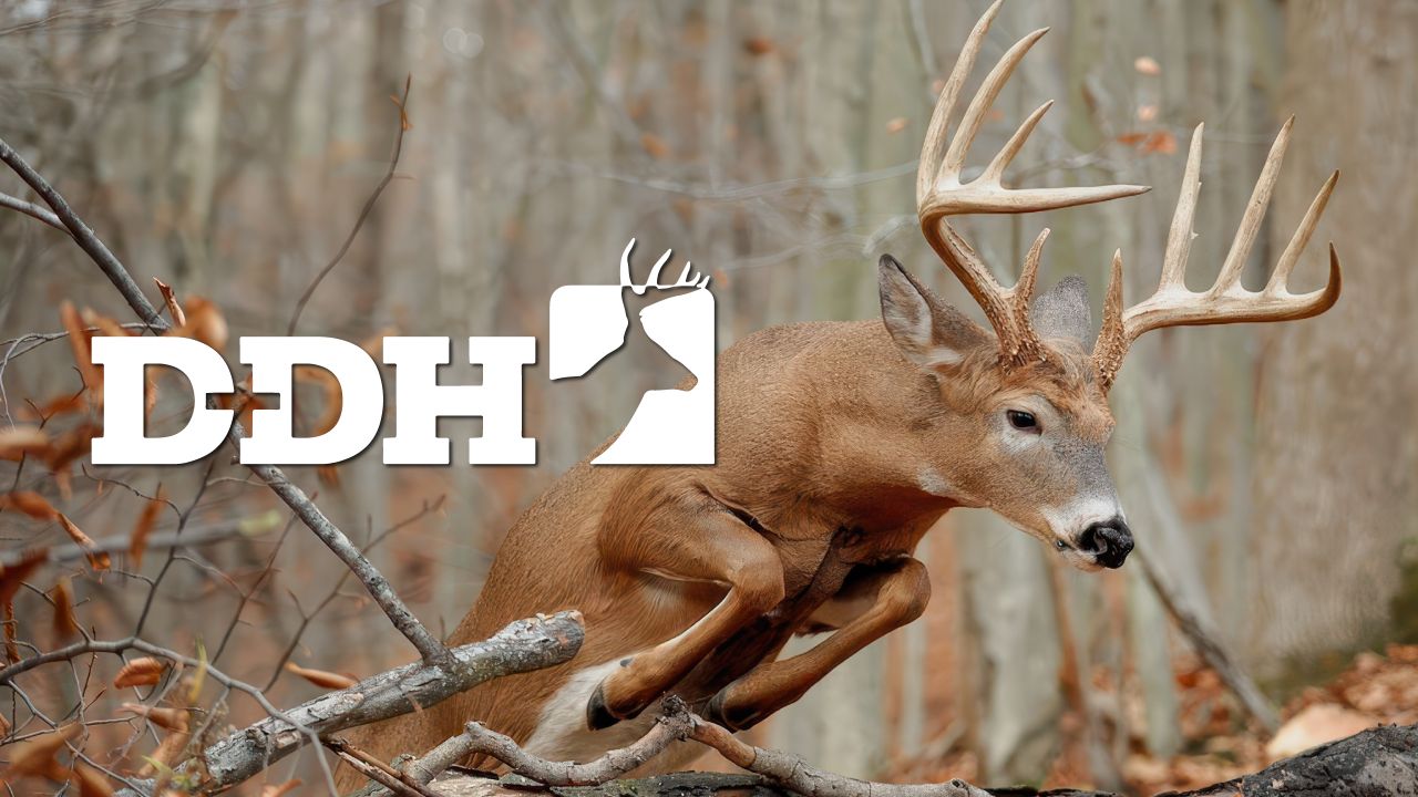 Deer & Deer Hunting TV