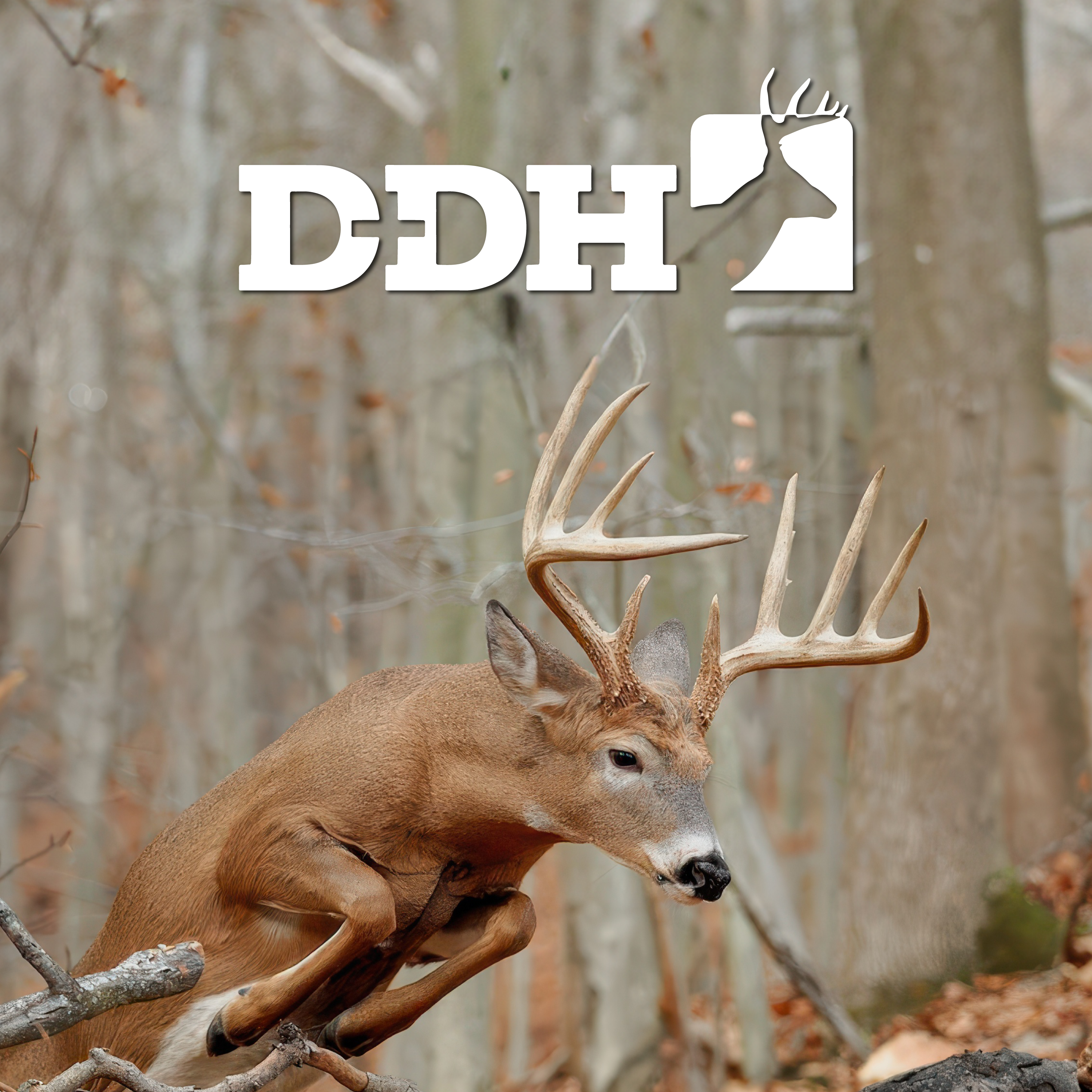 Deer & Deer Hunting TV program thumbnail