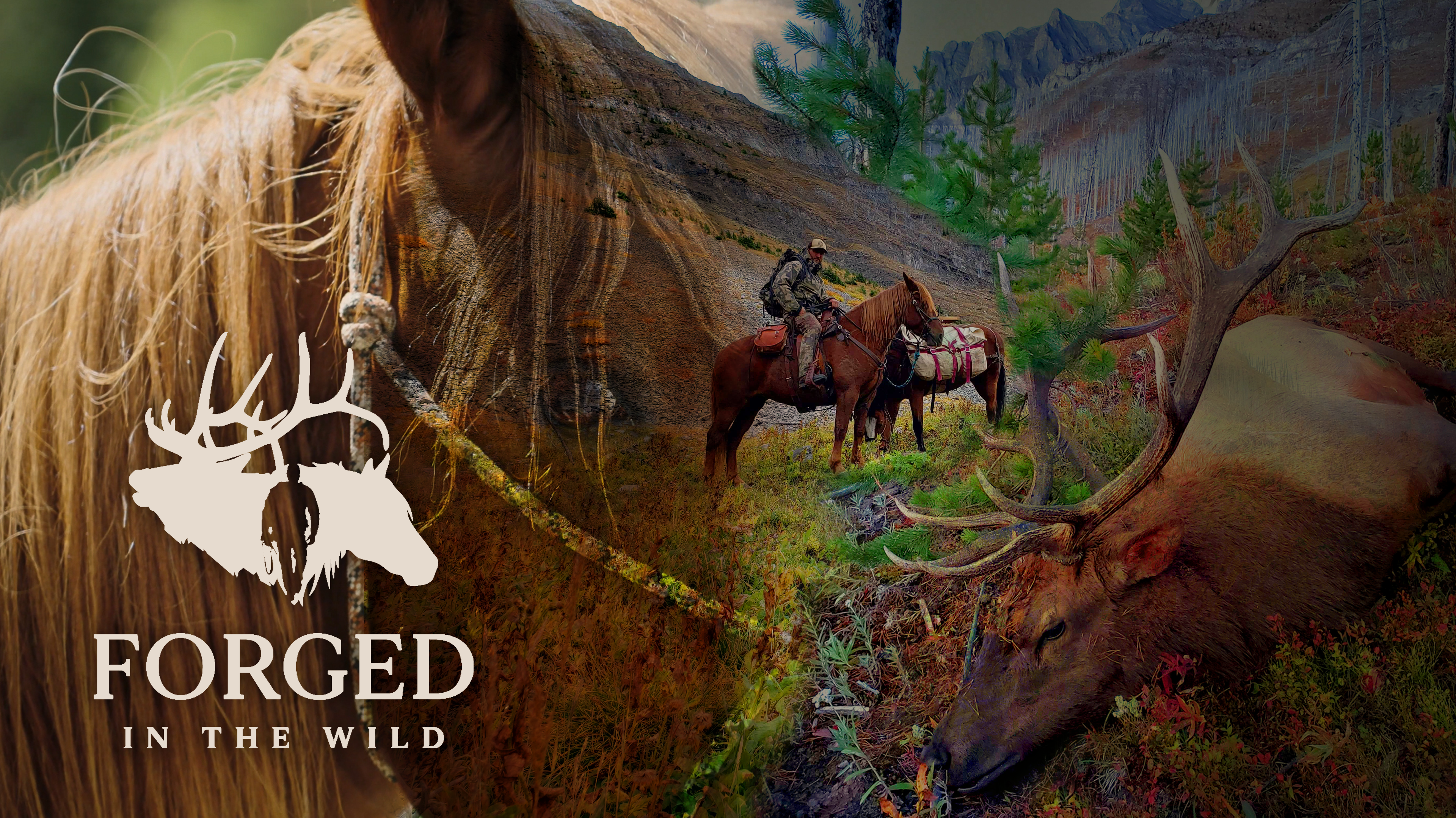 Forged in the Wild