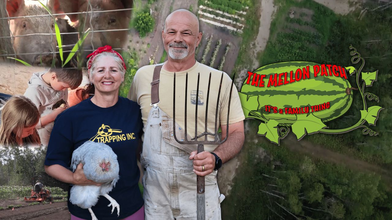 The Mellon Patch - It's a Family Thing