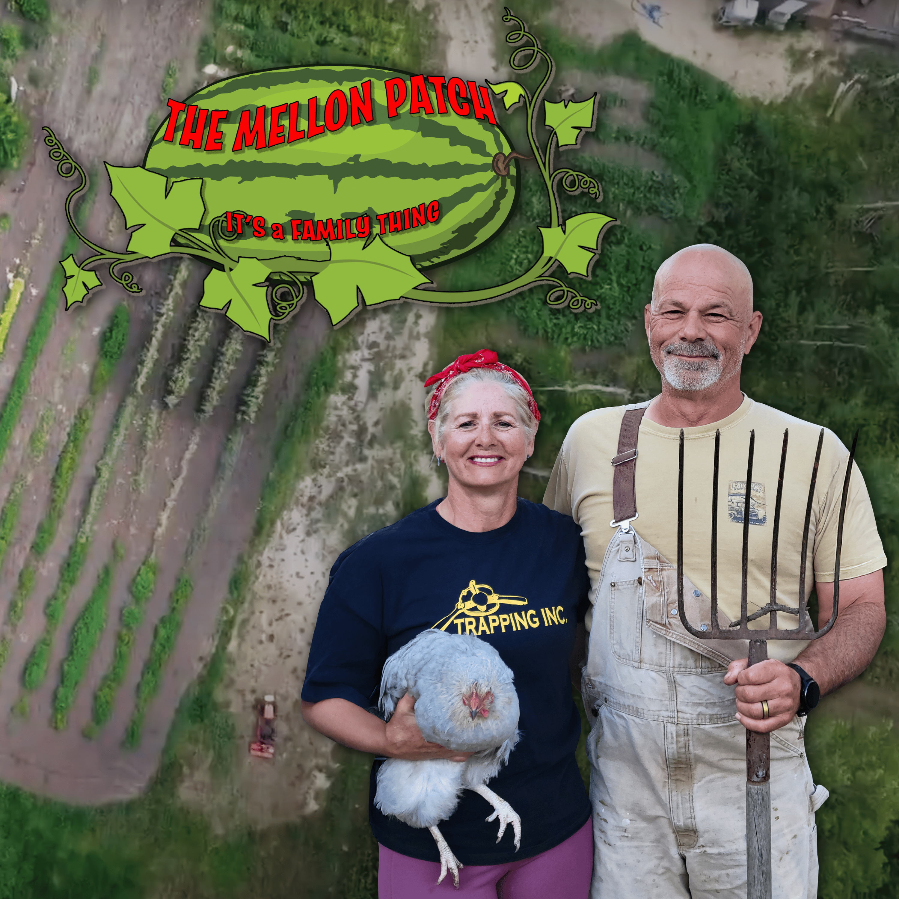 The Mellon Patch - It's a Family Thing program thumbnail