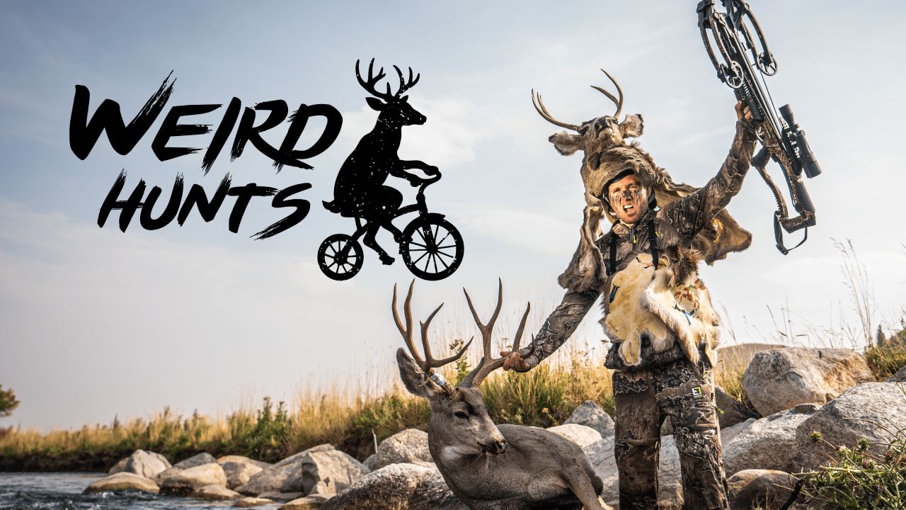 Weird Hunts
