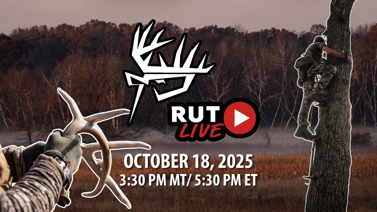 Rut Live