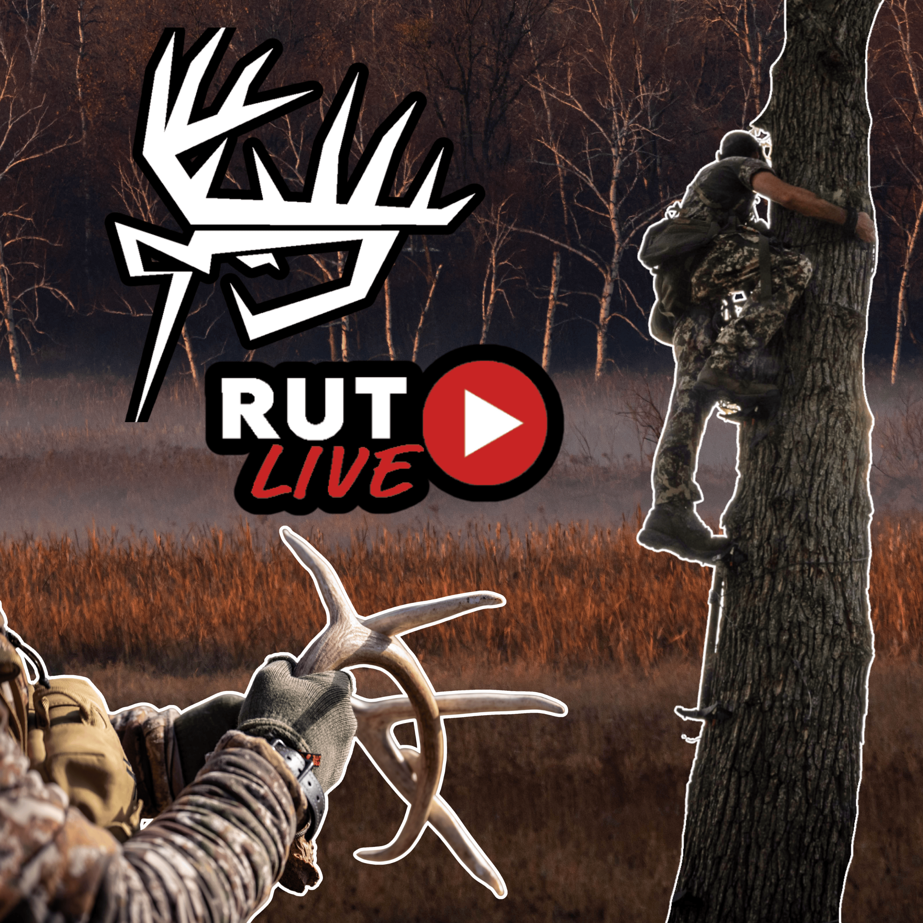 Rut Live program thumbnail