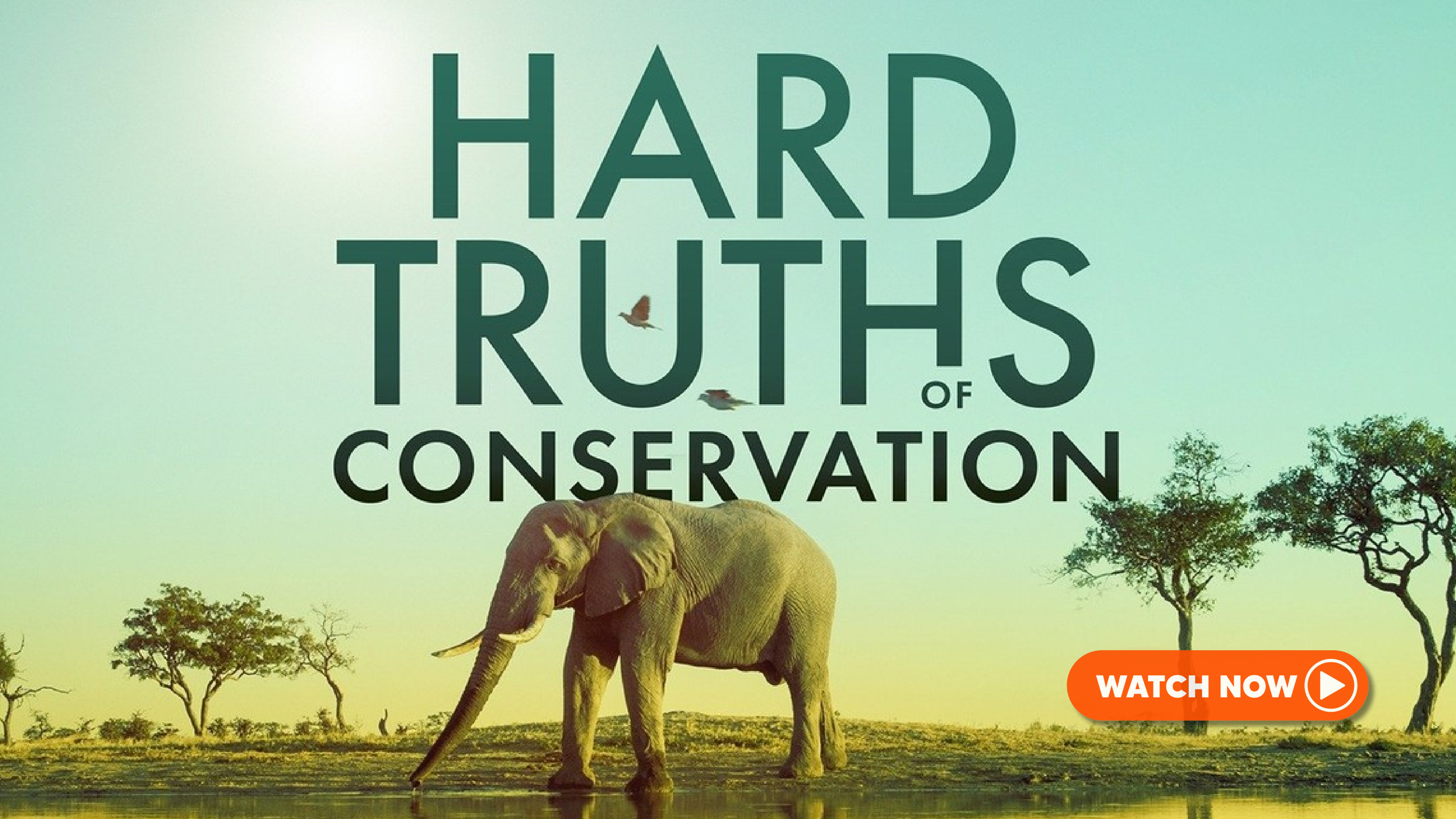 Hard Truths of Conservation