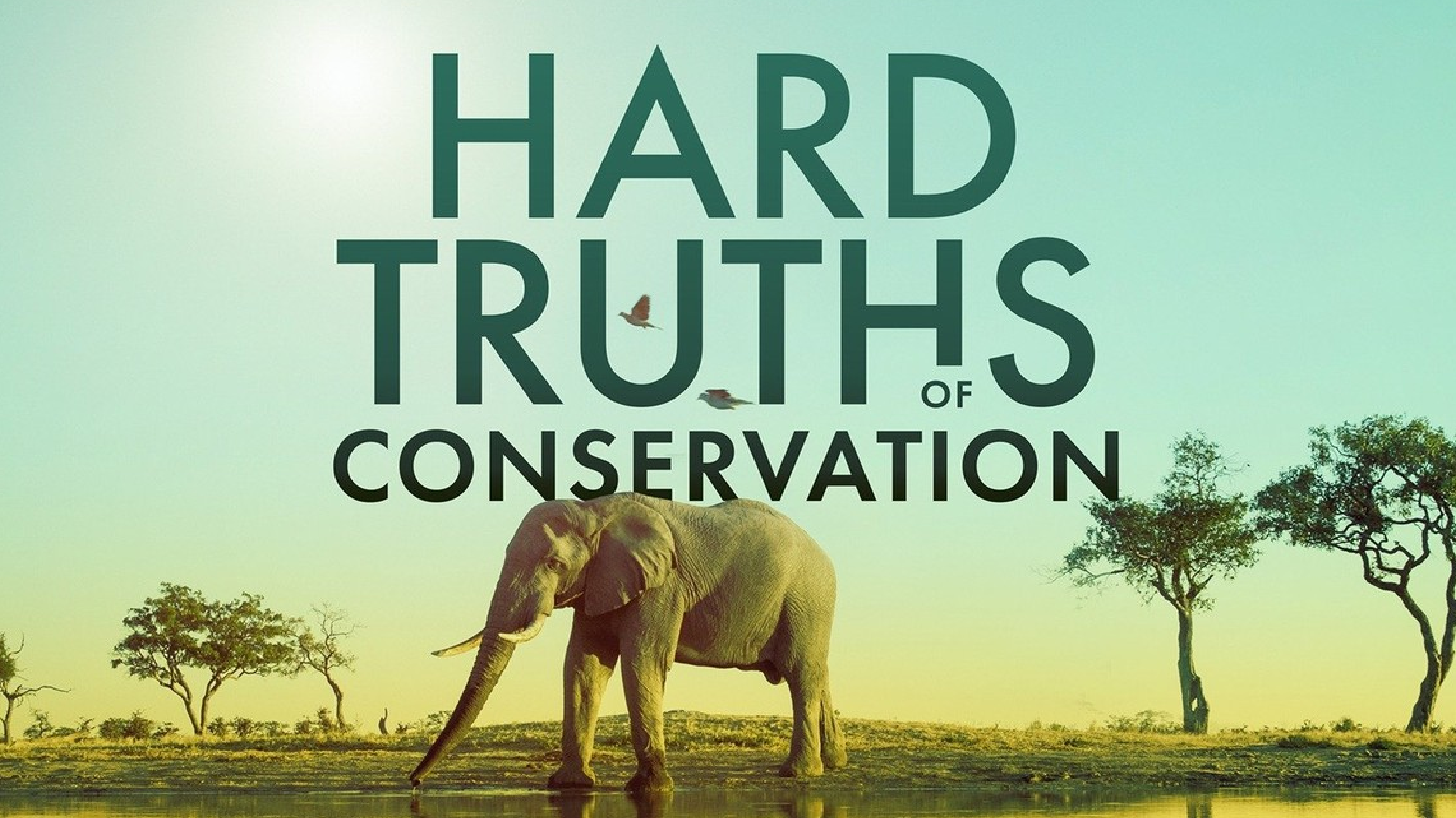 Hard Truths of Conservation