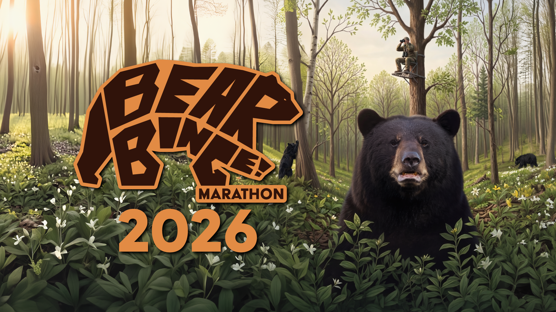 Bear Binge Marathon