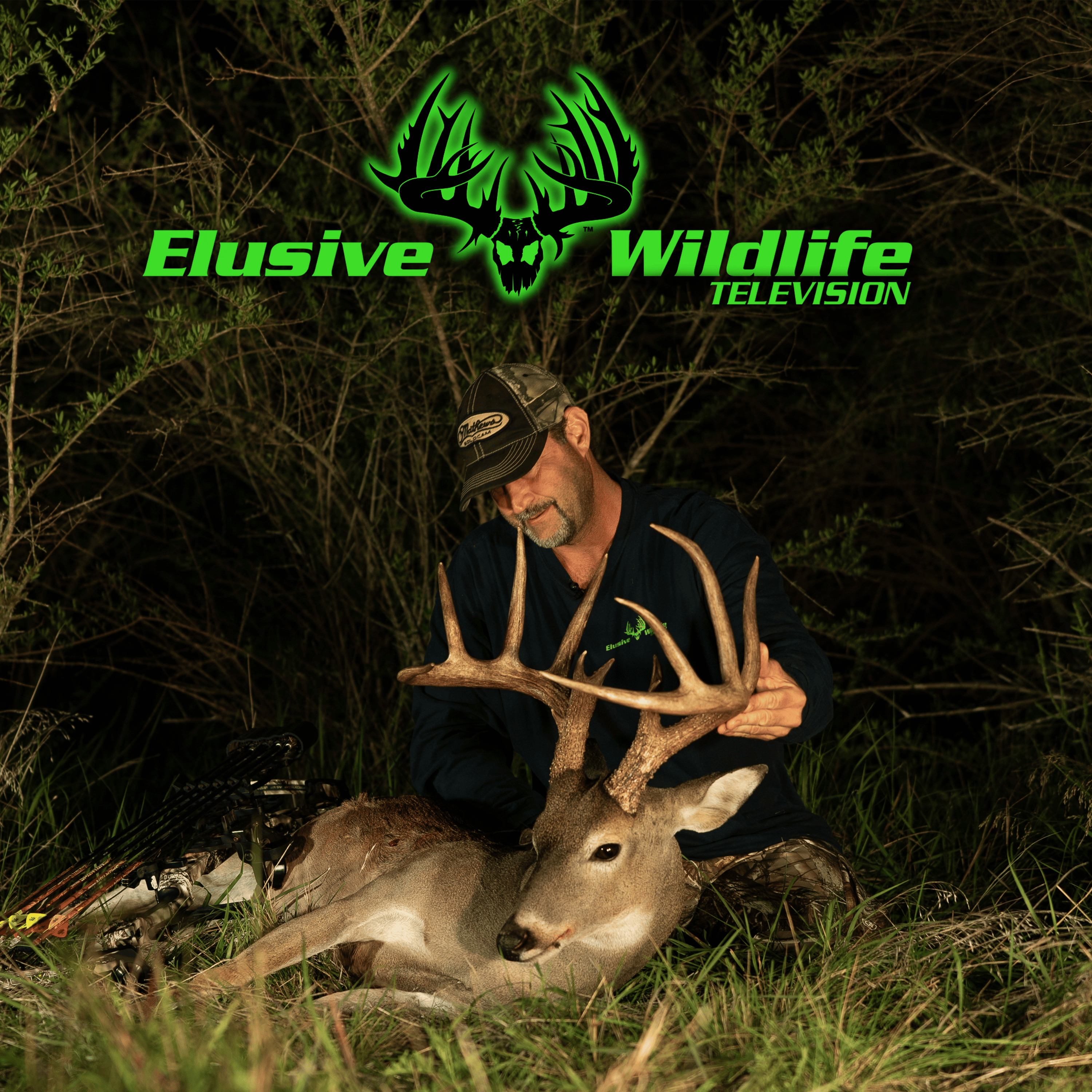 Elusive Wildlife Television program thumbnail