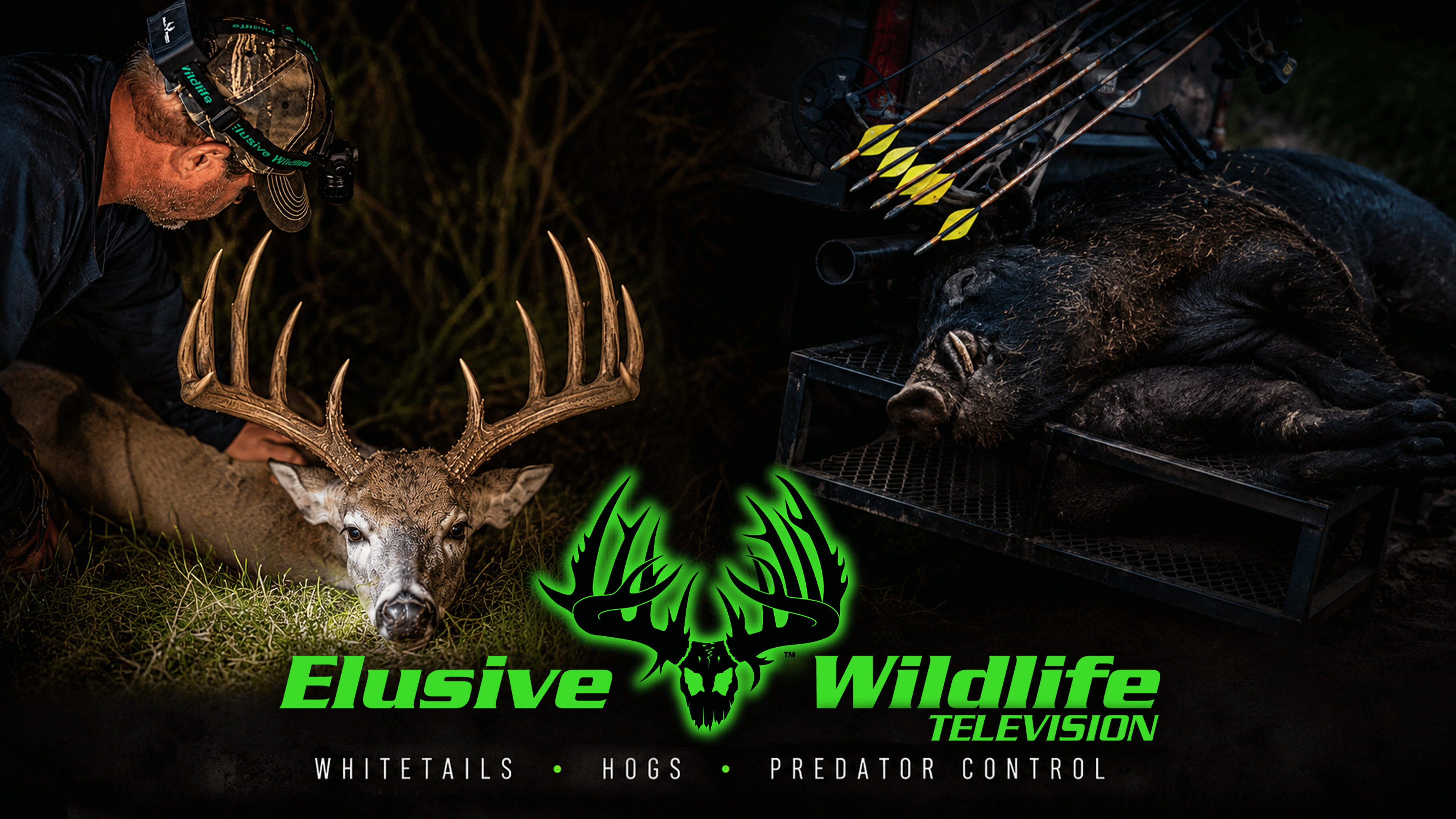 Elusive Wildlife Television