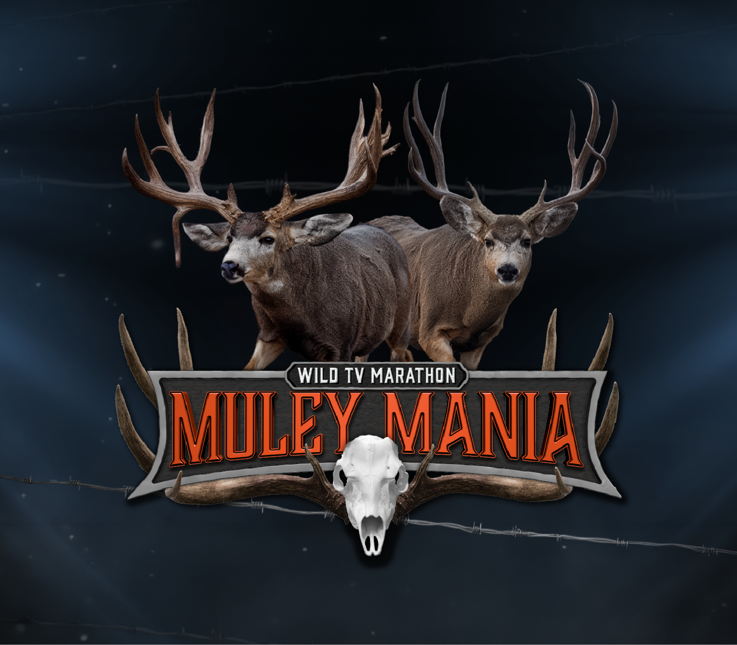 Muley Mania Marathon